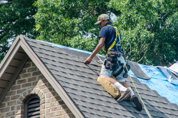 Best Local Roofing Companies  in Chelsea, MI